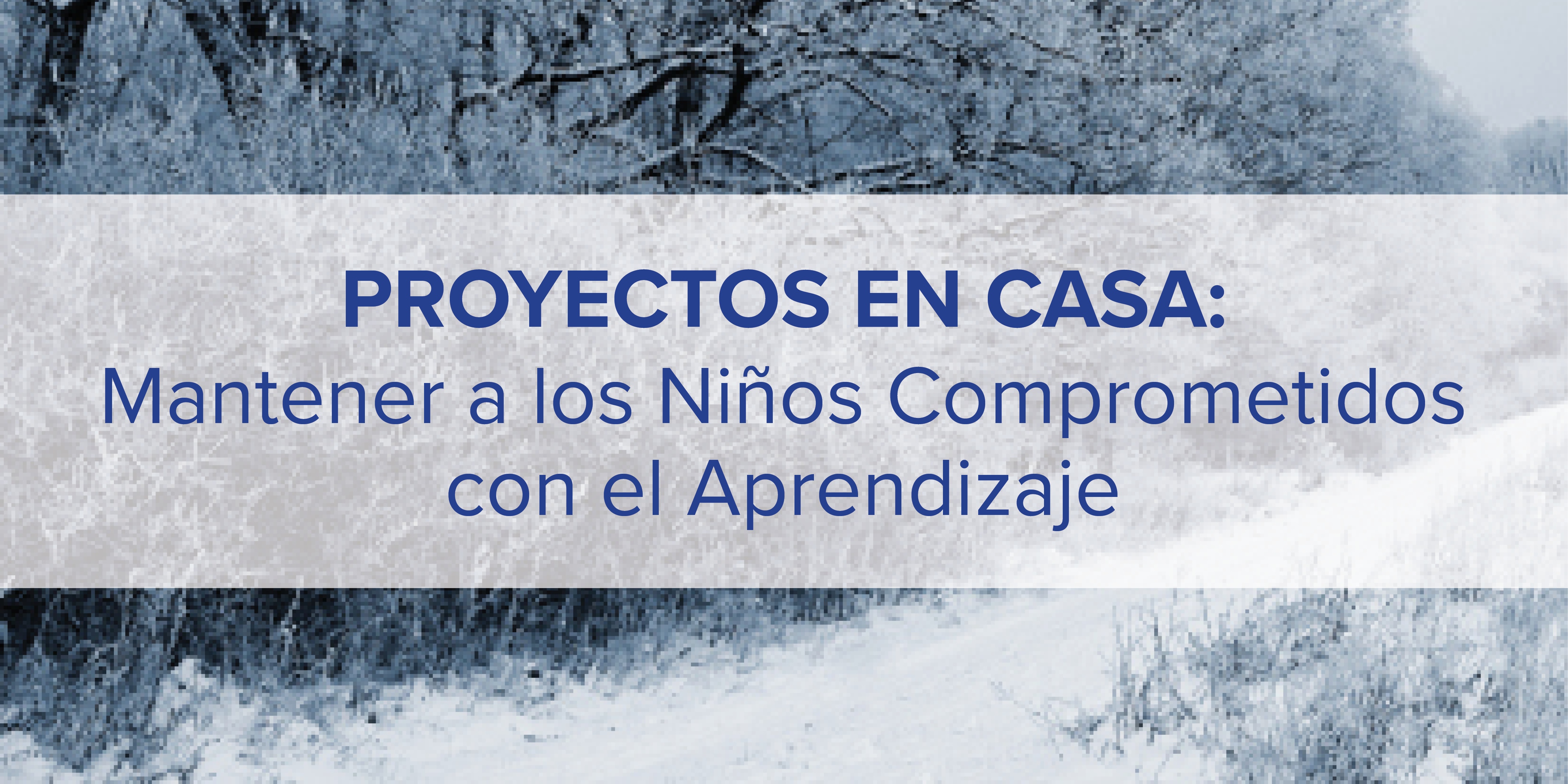 Proyectos en Casa: Mantener a los Niños Comprometidos con el Aprendizaje